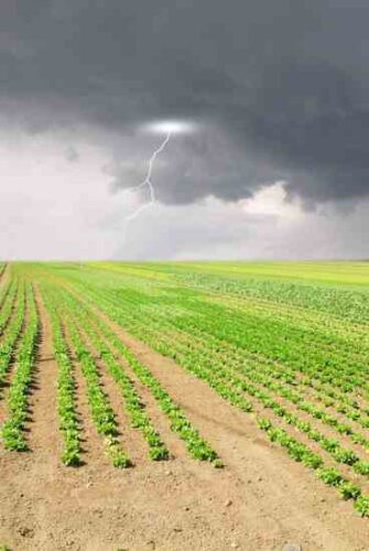 Nematode Termite Sprays, Adobe Housing, Noxious Weeds, Acid Rain Controls and More